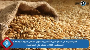 قفزة جديدة في سعر الأرز الشعير بالسوق المحلي اليوم الجمعة 8 أغسطس 2025.. تعرف على التفاصيل